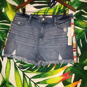 NWT   $38 Tinseltown Juniors Boho Stripe Jean Shorts